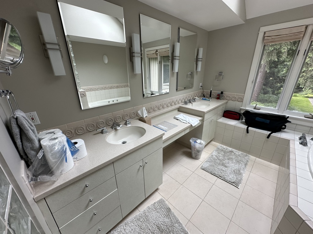 Before — original vanity and bathroom finishes