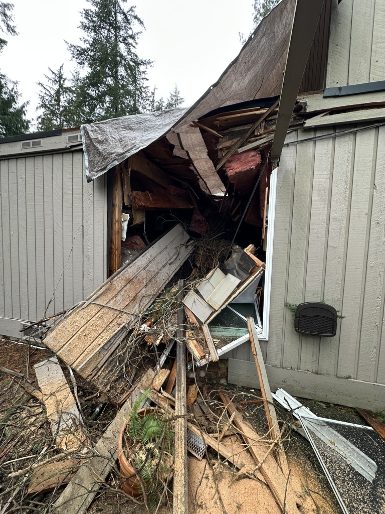 Before — tree damage to the roof and exterior wall